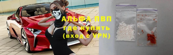 амф Новодвинск