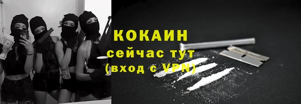 прущие грибы Новозыбков
