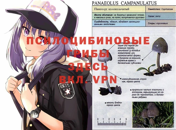 марихуана Нефтекумск