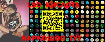 ПСИЛОЦИБИНОВЫЕ ГРИБЫ Кимры