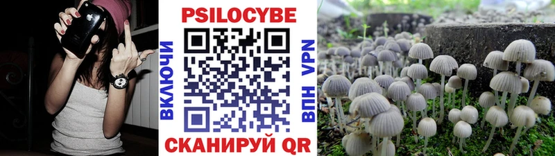 ссылка на мегу рабочий сайт  Лабытнанги  Галлюциногенные грибы Psilocybe 