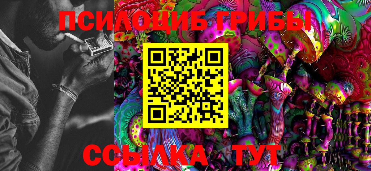 Галлюциногенные грибы Cubensis  Лабытнанги 