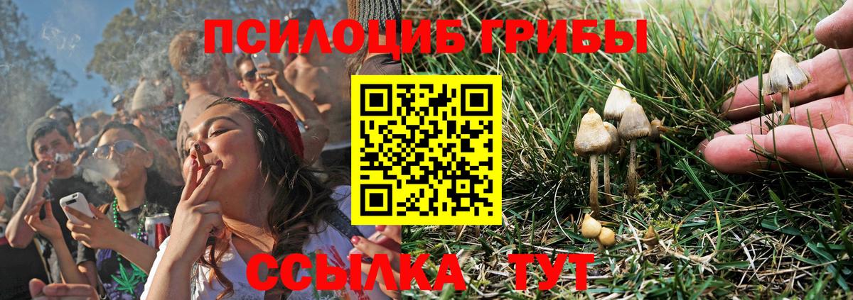 Галлюциногенные грибы GOLDEN TEACHER  Вход с VPN  Галлюциногенные грибы GOLDEN TEACHER  как найти   Лабытнанги 