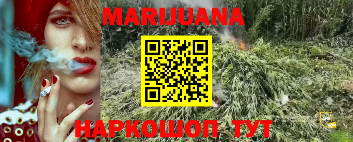 Марихуана планчик  МАРИХУАНА марихуана  Лабытнанги  Каннабис тримм  Бошки марихуана конопля 